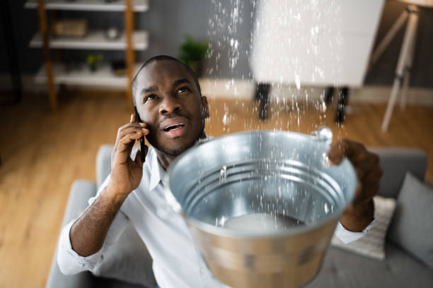 Best Flooded house restoration  in Eaton, CO