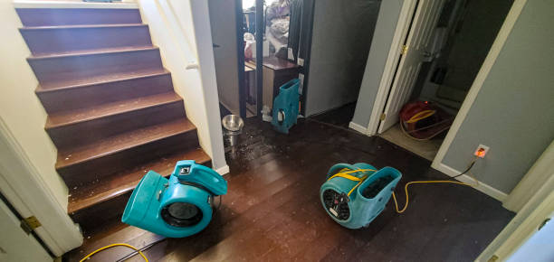 Best Water damage contractors near me  in Eaton, CO