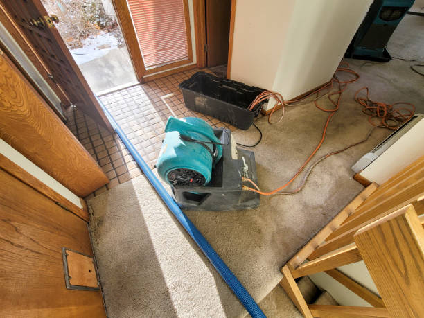 Best Commercial water damage restoration  in Eaton, CO