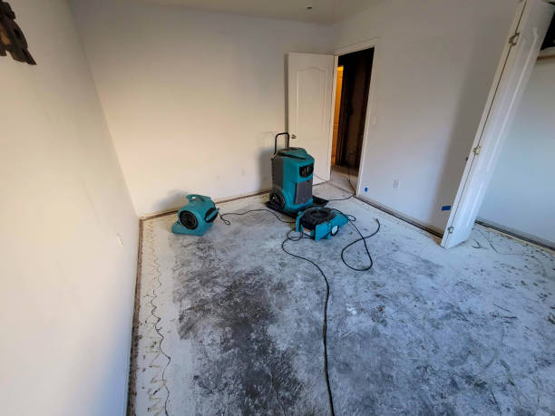 Best 24-hour water damage restoration  in Eaton, CO