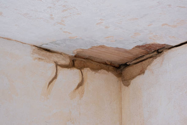 Best Emergency water damage restoration  in Eaton, CO