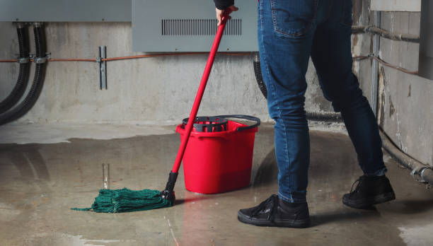 Best Ceiling water damage repair  in Eaton, CO