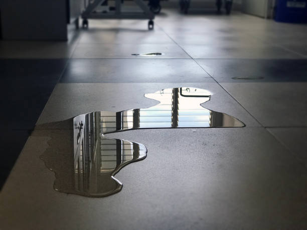  Eaton, CO Water damage restoration Pros
