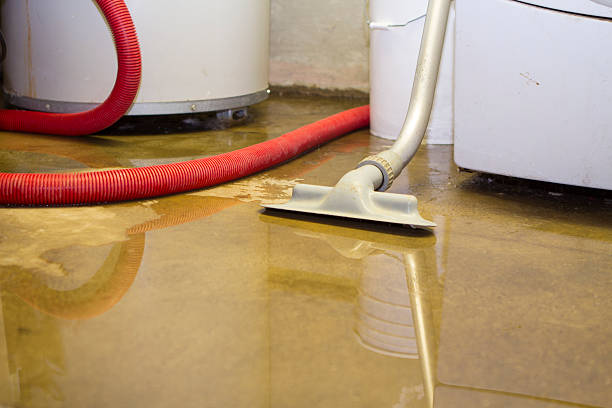 Best Water damage restoration near me  in Eaton, CO