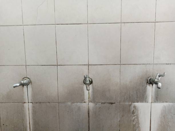 Best Basement water damage restoration  in Eaton, CO
