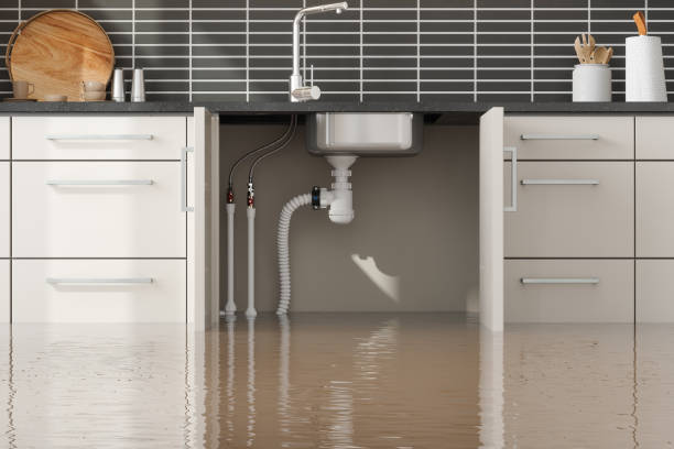 Best Flood restoration services  in Eaton, CO