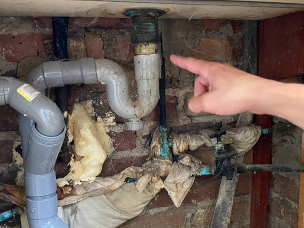 Best Water damage contractors near me  in Eaton, CO
