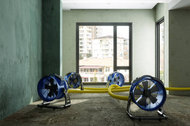 Reliable Eaton, CO Water damage restoration Solutions